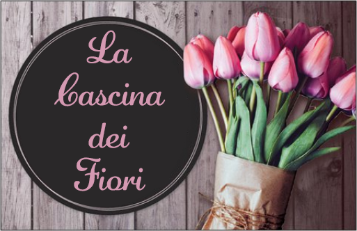 Fiorista Novate Milanese